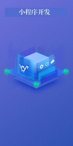 APP/微信小程序/安卓/IOS定制开发